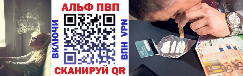 APVP СК  darknet как зайти  Циолковский 