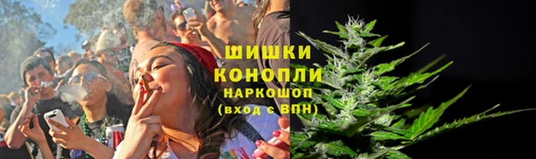 стаф Новодвинск