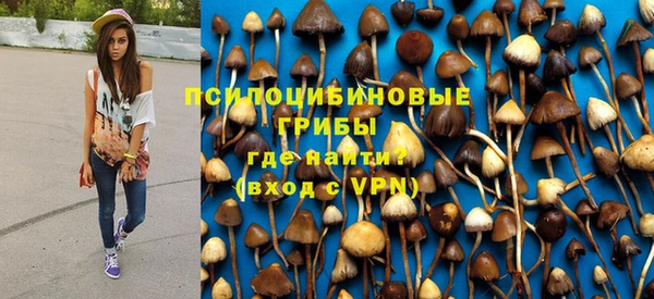 МДМА Новозыбков