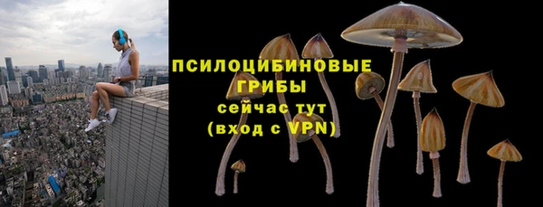 МДМА Новозыбков