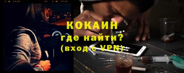 стаф Новодвинск