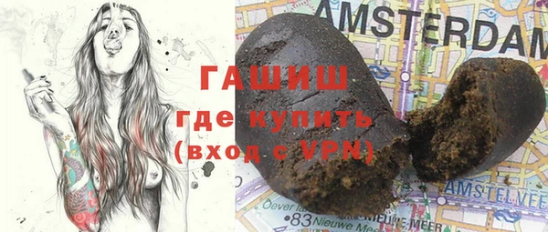 стаф Новодвинск