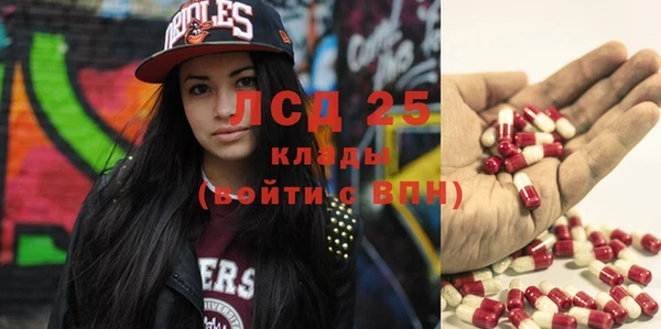 стаф Новодвинск